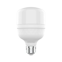 T-Bulb
